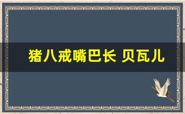 猪八戒嘴巴长 贝瓦儿歌_母鸭带小鸭儿歌